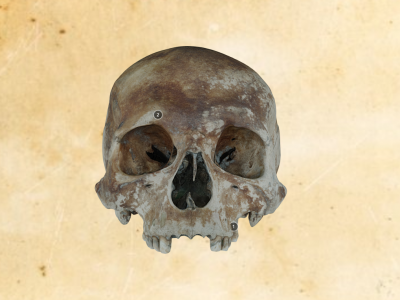 Carpenter Skull